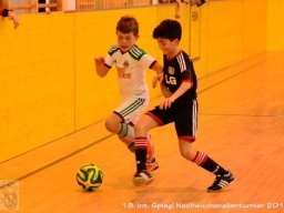 mini-Schlins-U9-Spiegl-DSC_1551